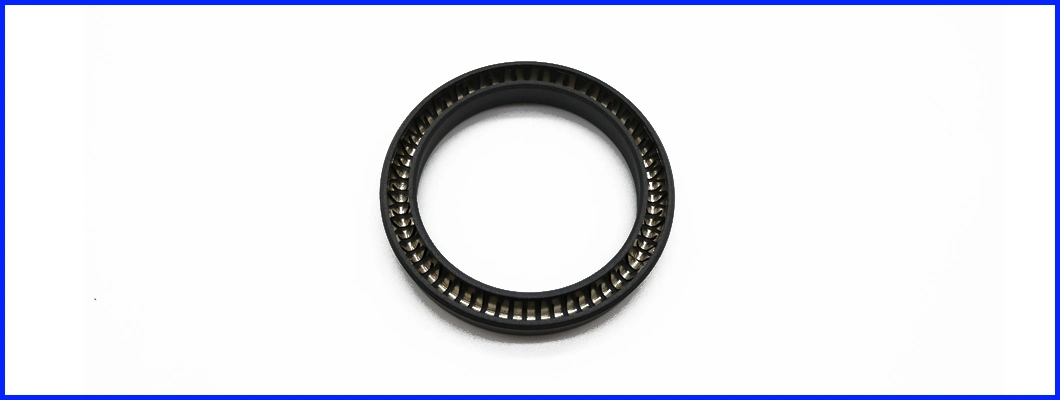 Hydraulic Mechanical Pump Valve Variseal Customized PTFE Carbon Praphite Peek Double Lip Piston Rod Rotary Oil Spring Energized Seal